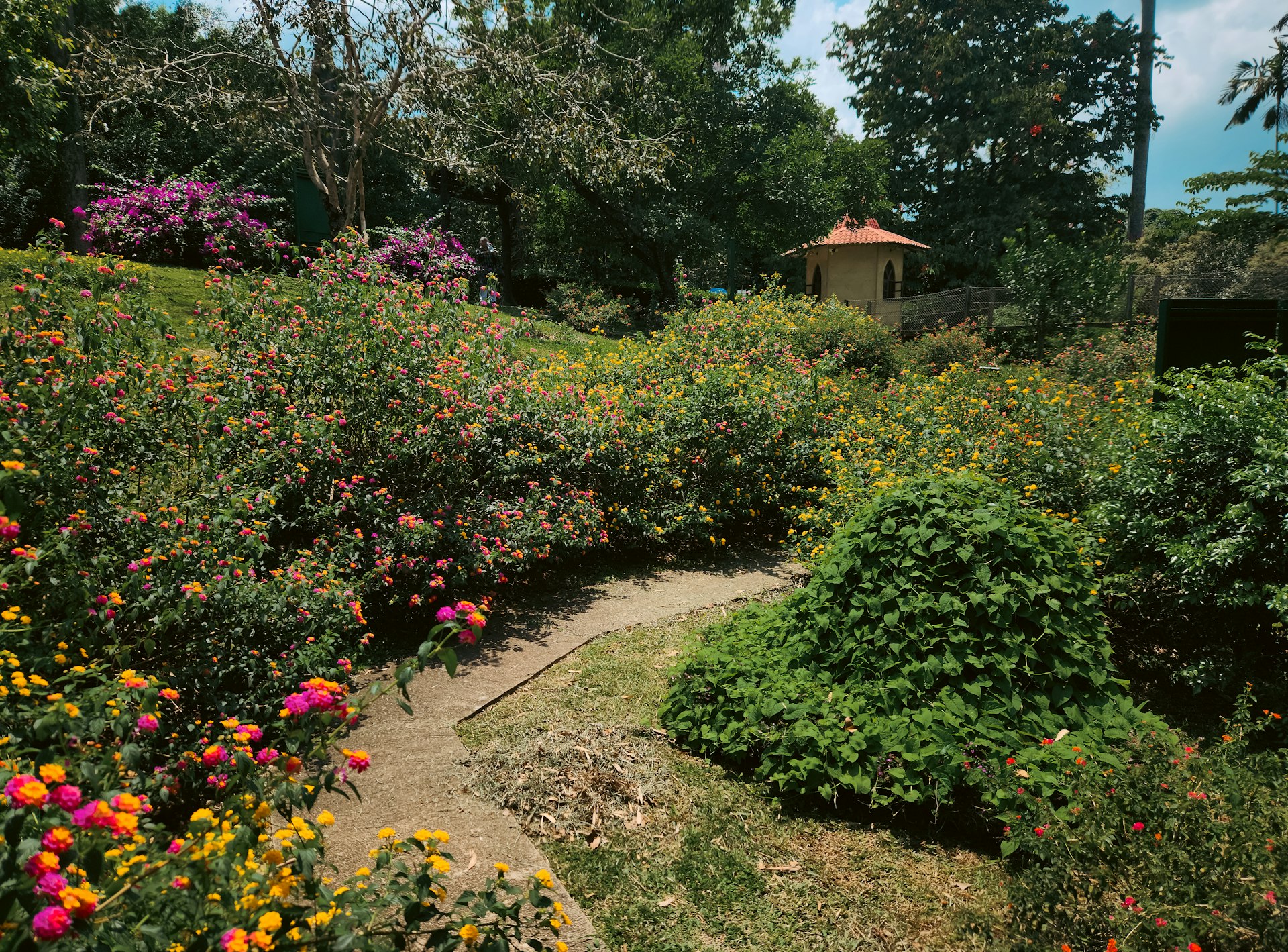 A lush garden path leads to a small structure.